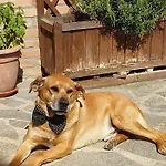 Lalunanera Alloggio per agriturismo *